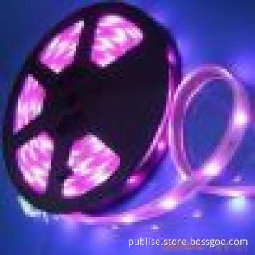 popular Flexible LED Light 60 SMD5050 with Best PU-cover and Red 3